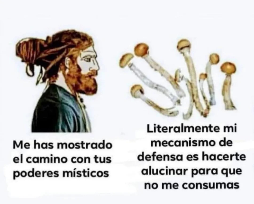 GENTE TONTA - meme