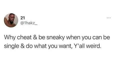 Why cheat when you can be single? - meme