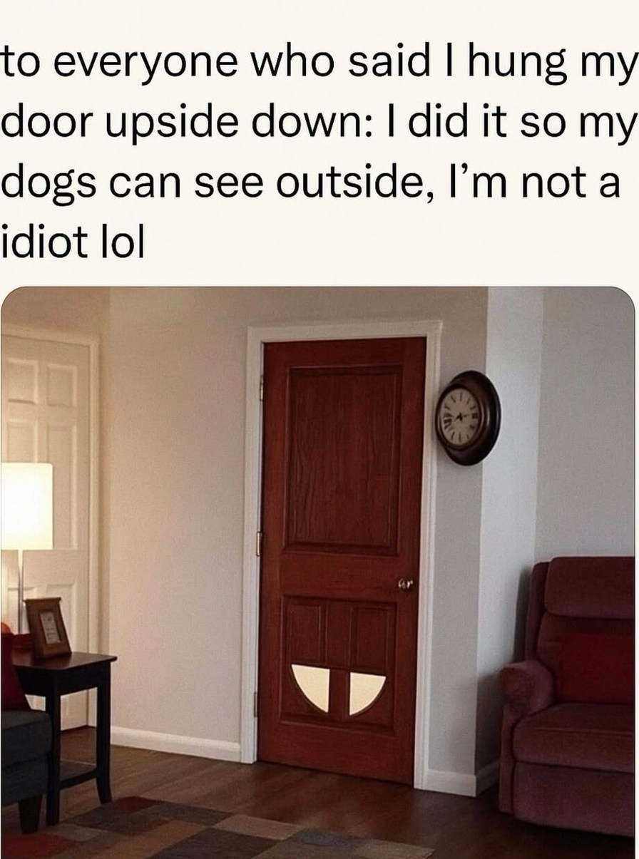 Hung my door upside down so my dogs can vibe - meme