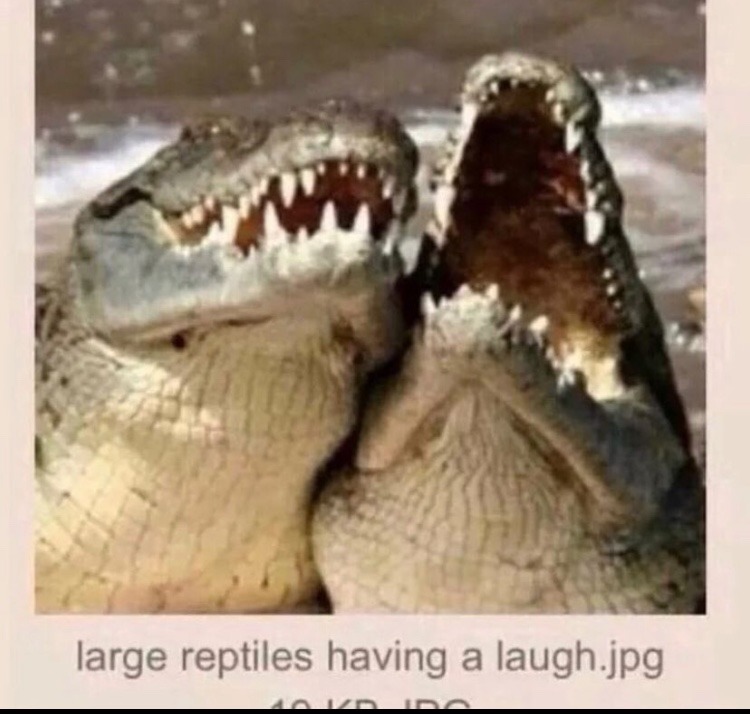 what are they laughing about? - meme