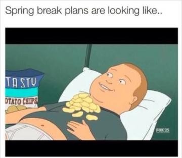 Spring break plans - meme
