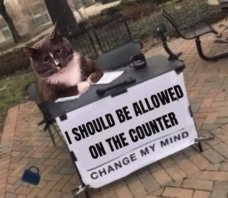 Change his mind please - meme