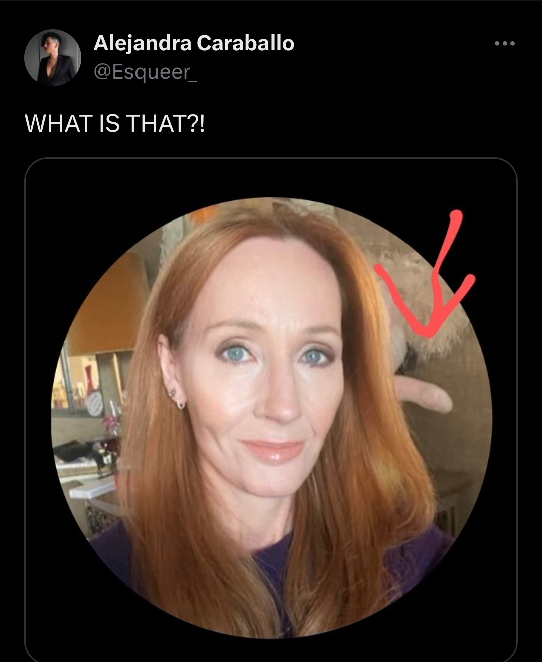 She Thought About Girldick Too Much - meme