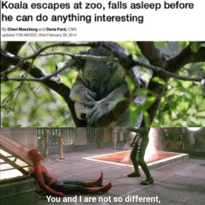 You and I are not so different - meme