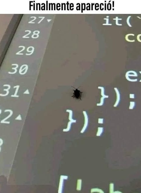 El bug - meme