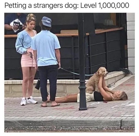 Petting a stranger's dog like it's an achievement unlock - meme