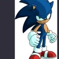 Sonic emputado