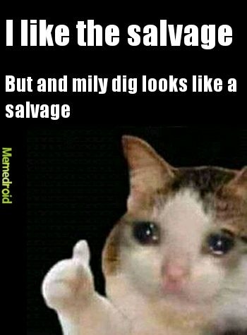 The salvage - meme