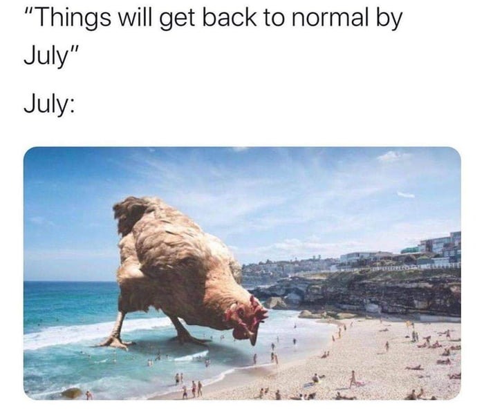 Not THAT normal! - meme