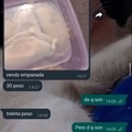 commented item thumbnail