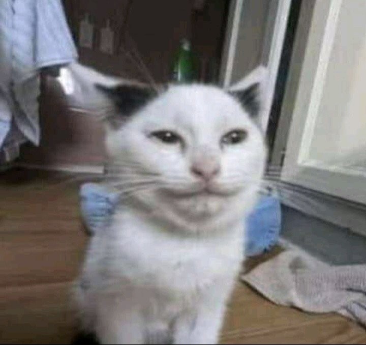 Garo - meme