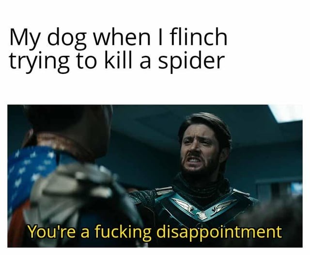 Me flinching at the spider and losing all family respect - meme