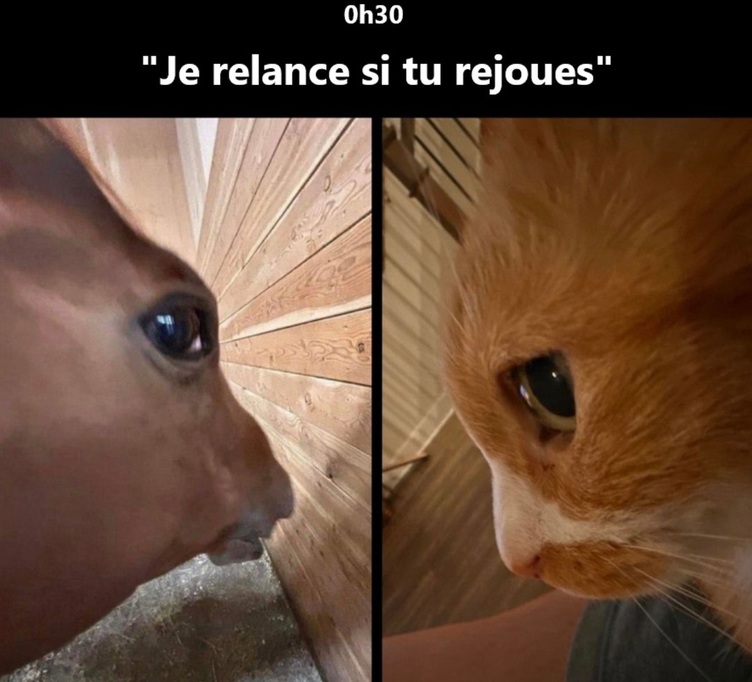 oh je relance si tu relances h mémorable micro clash meme