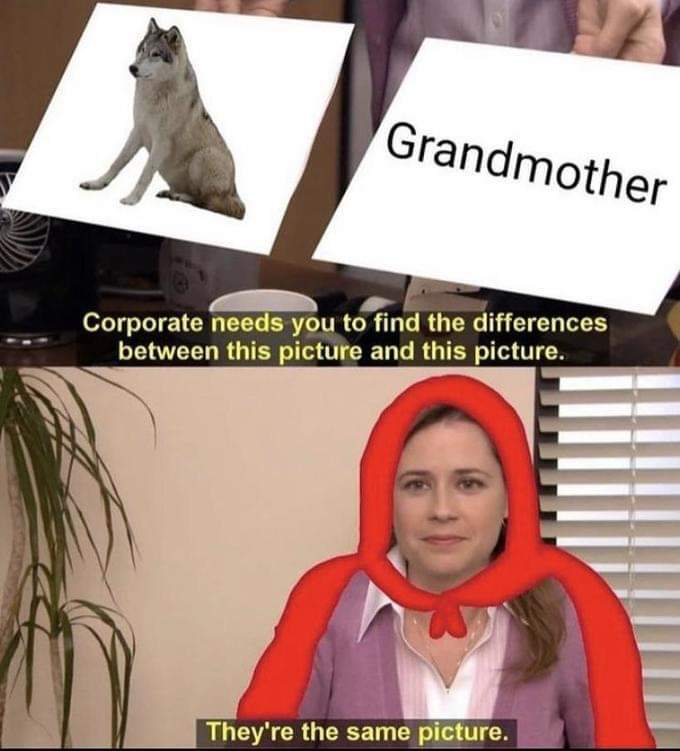 It's written 'Grandmother'...no picture... - meme