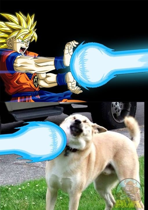 XD - meme