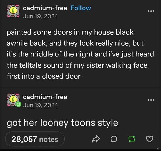 Middle of the night: Sis walks into the door like it's the Matrix - meme