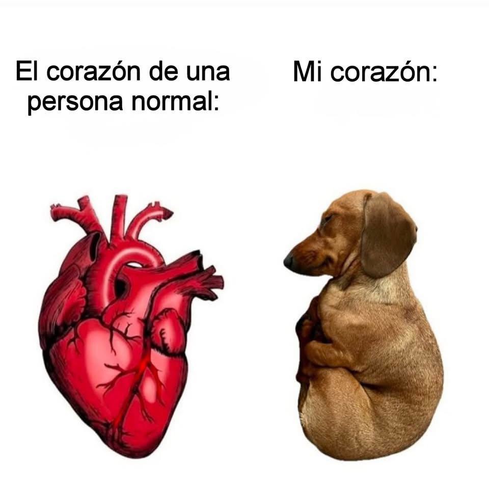 corazón de persona normal vs mi corazón - meme