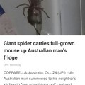 Giant nope