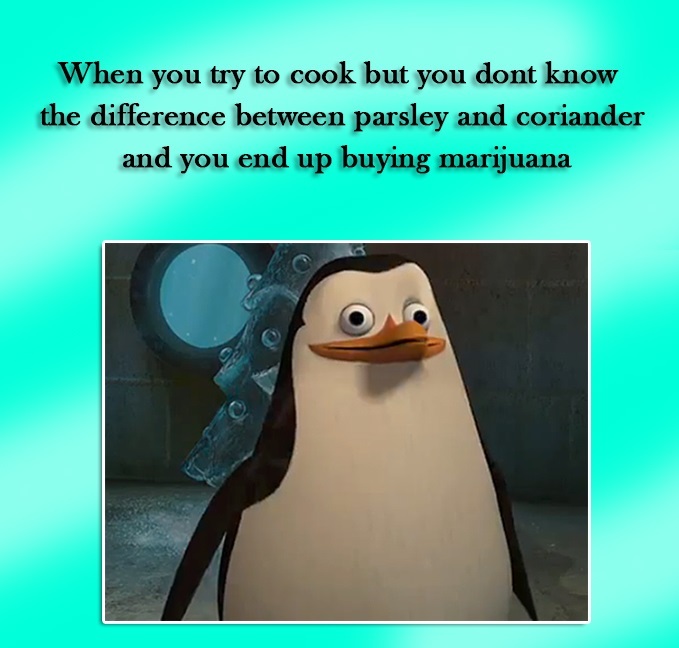 just smile and wave boys - meme