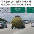 Rescuing sponge bob