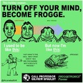 Frogge