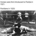 Before horses
