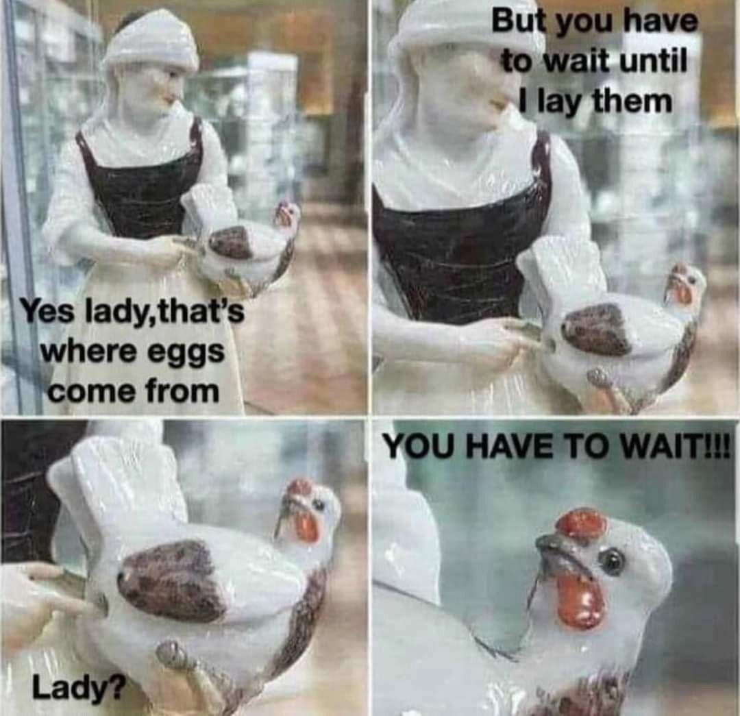 Where eggs come from. - meme