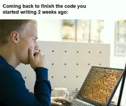 What idiot wrote thi... oh wait - meme