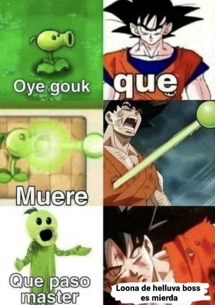 Goku dijo la verdad. - meme