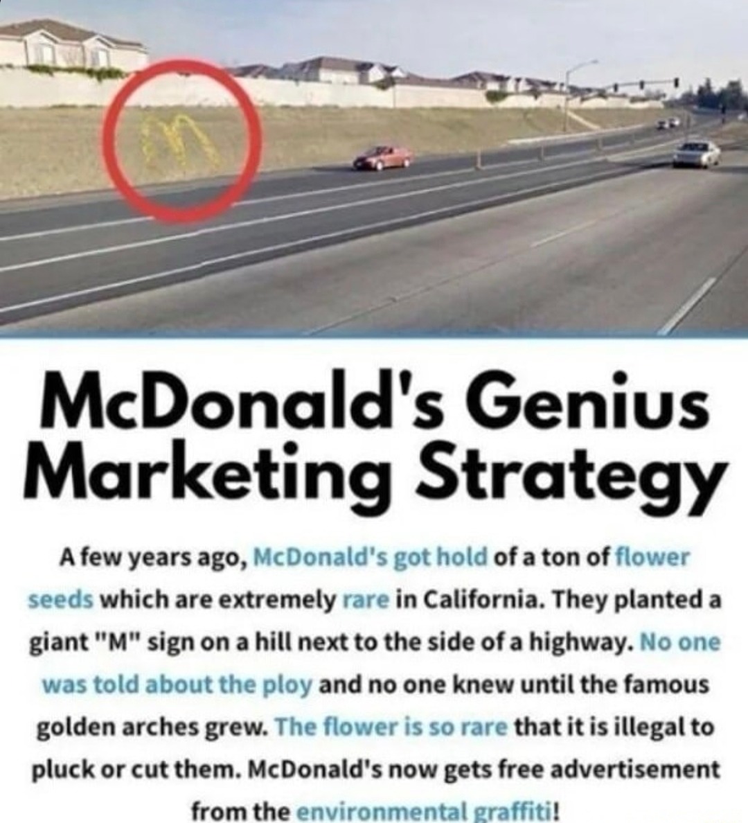 McDonald's marketing strategy - meme