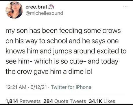 This crow gave a tip like it's Uber Eats - meme