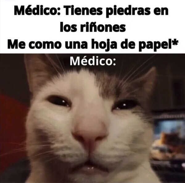 Descubre 13 ideas de memes blanco y imagenes para hacer memes | memes,  plantilla de meme, creador de memes y más, image size:600x592