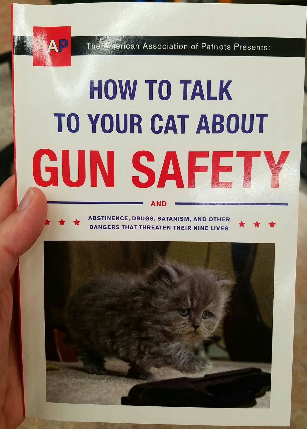 Protect Your Cattos and Kitters - meme