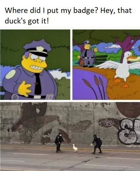 That duck has my badge! - meme