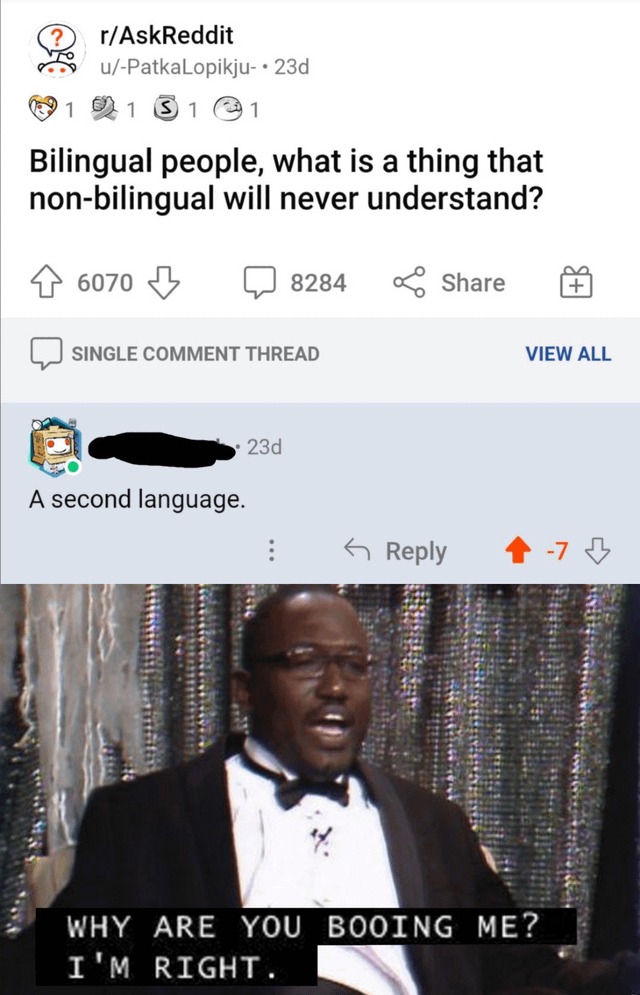 Bilingual people - meme