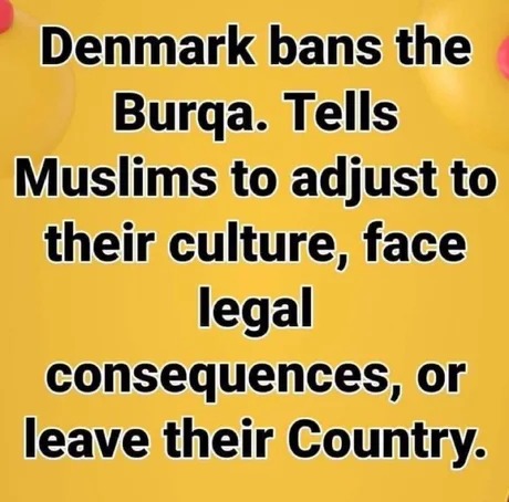 Denmark bans the Burqa - meme