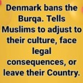 Denmark bans the Burqa