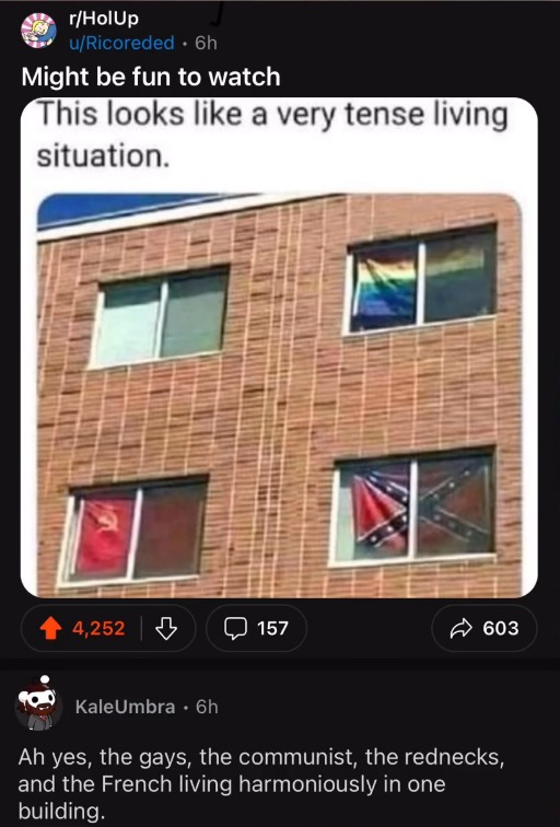 Bro had all those flags to make fun of and he still decided to make fun of the French - meme