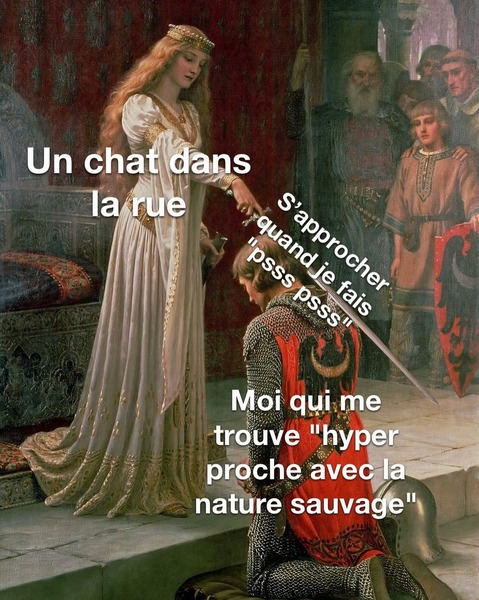 Titre - meme