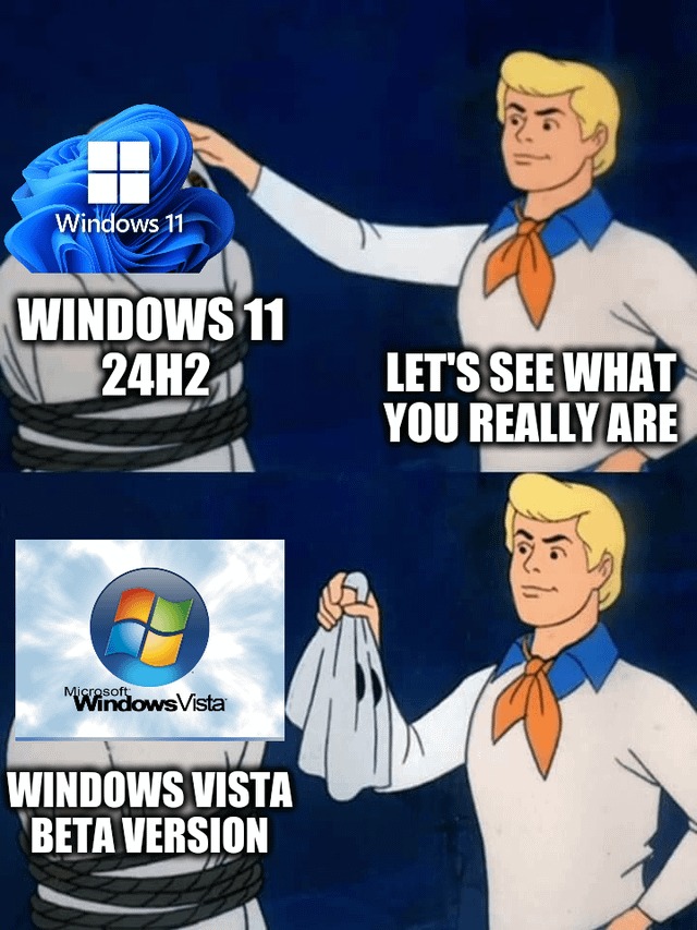 Windows 11 or Windows vista beta version - meme