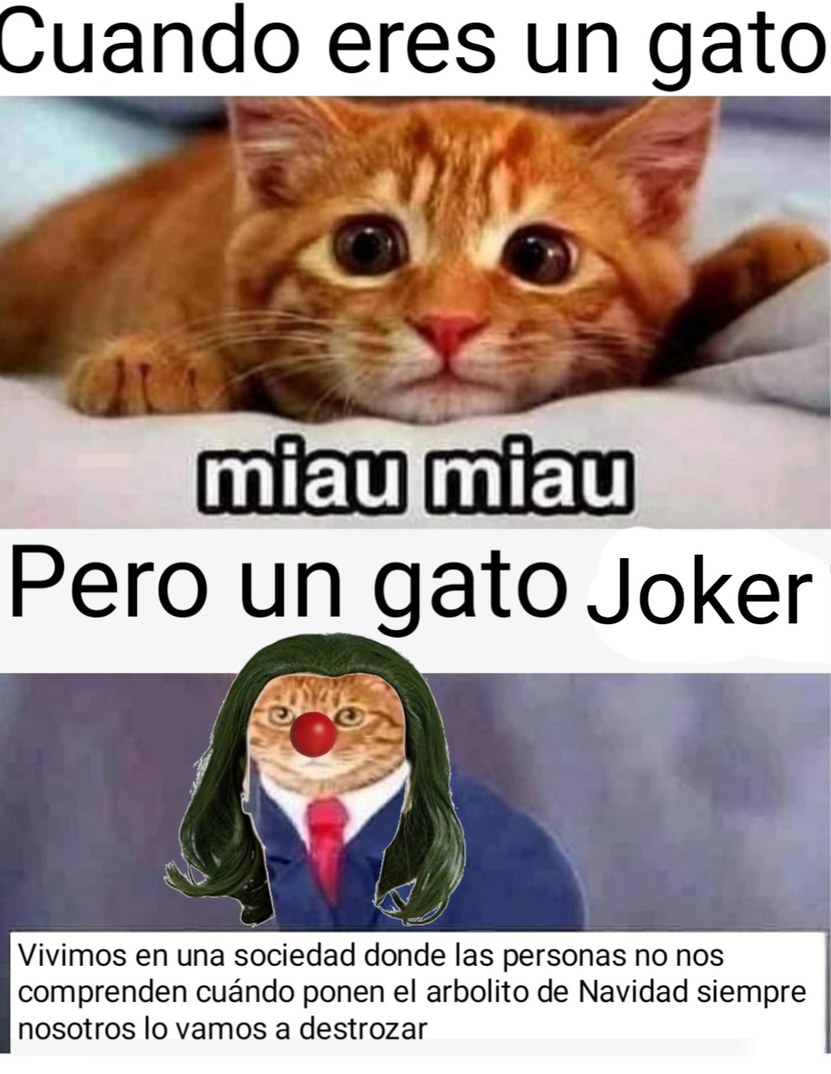 La triste vida de los gatos en navidad - meme