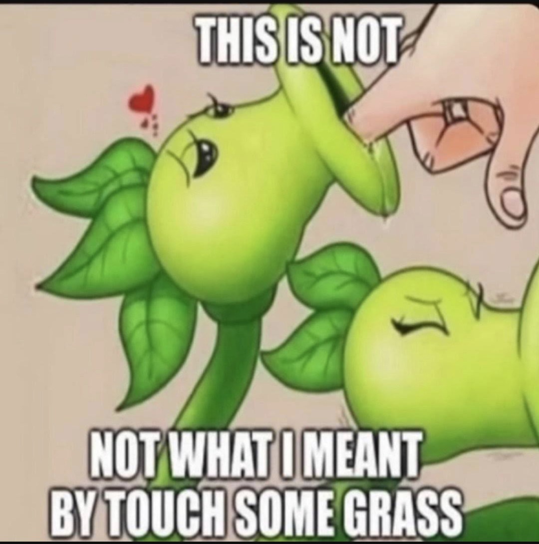 touching grass Memes & GIFs - Imgflip