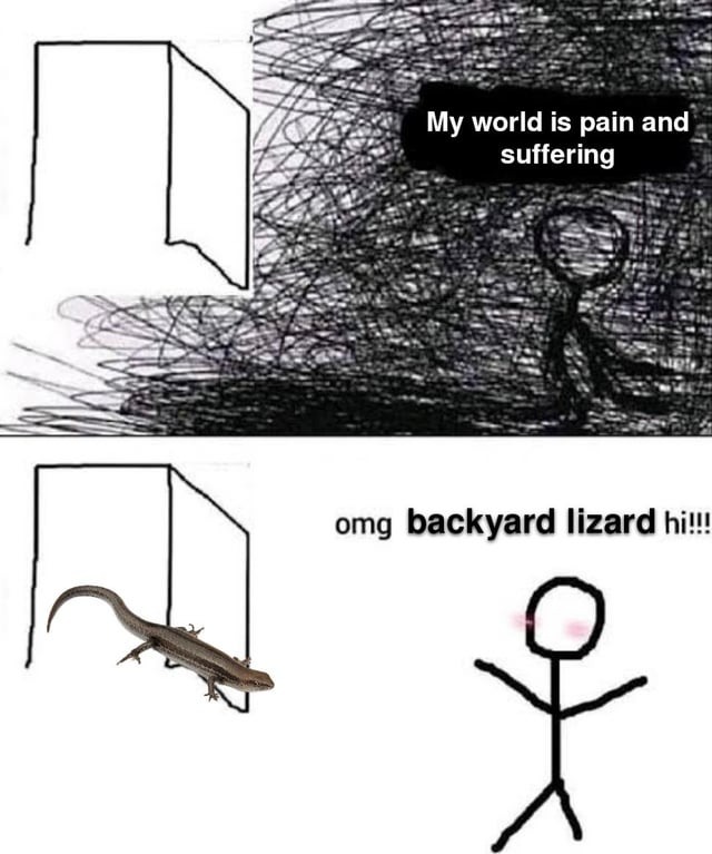 Backyard lizards - meme