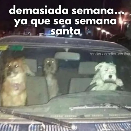 Meme de semana santa 2025