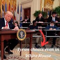 commented item thumbnail