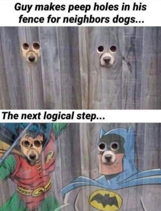 Guy made peep holes for his dogs - meme