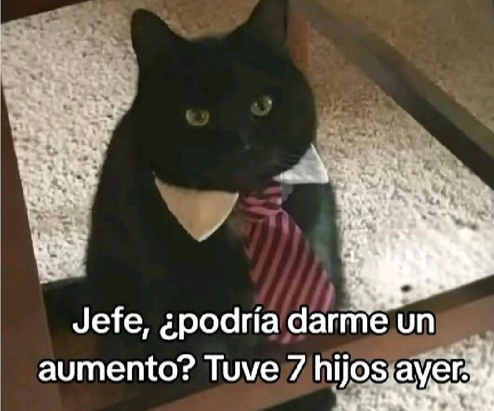 yo pidiendo aumento al jefe después de tener 7 hijos en un finde - meme