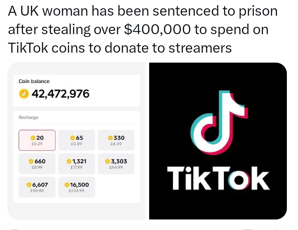 Woman jailed for stealing $400k to buy TikTok coins - meme