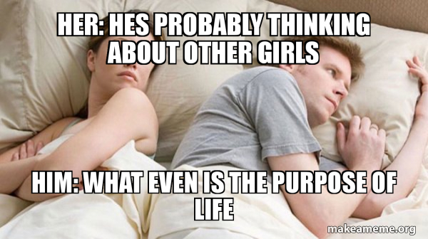 what is the purpose of life - meme
