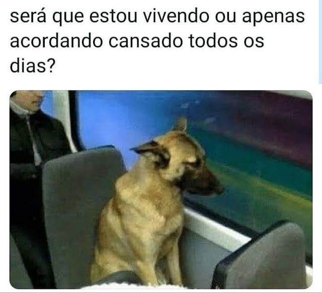 Memes em imagens engraçado